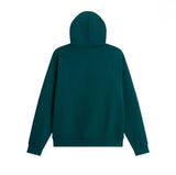 Felpa THE NORTH FACE con cappuccio big logo