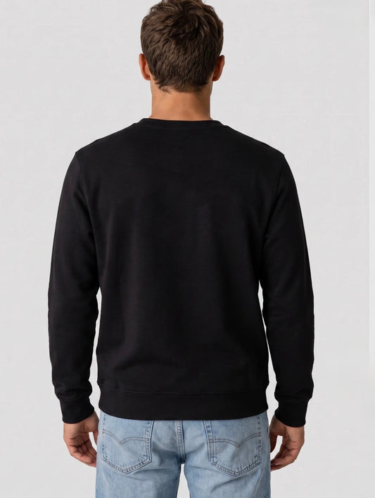 Felpa THE NORTH FACE nera girocollo big logo